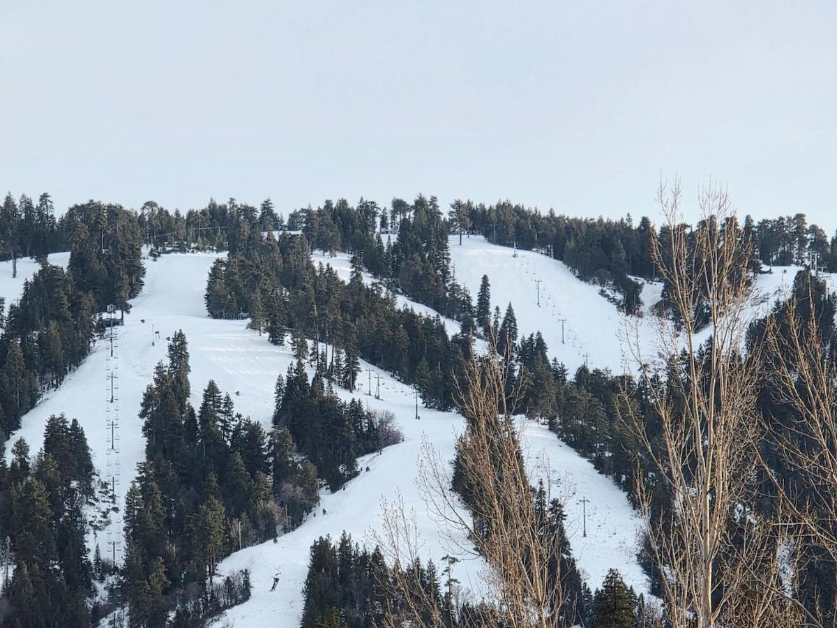 Bear Escapes II Affordable Luxury Cabin Sugarloaf Eksteriør bilde