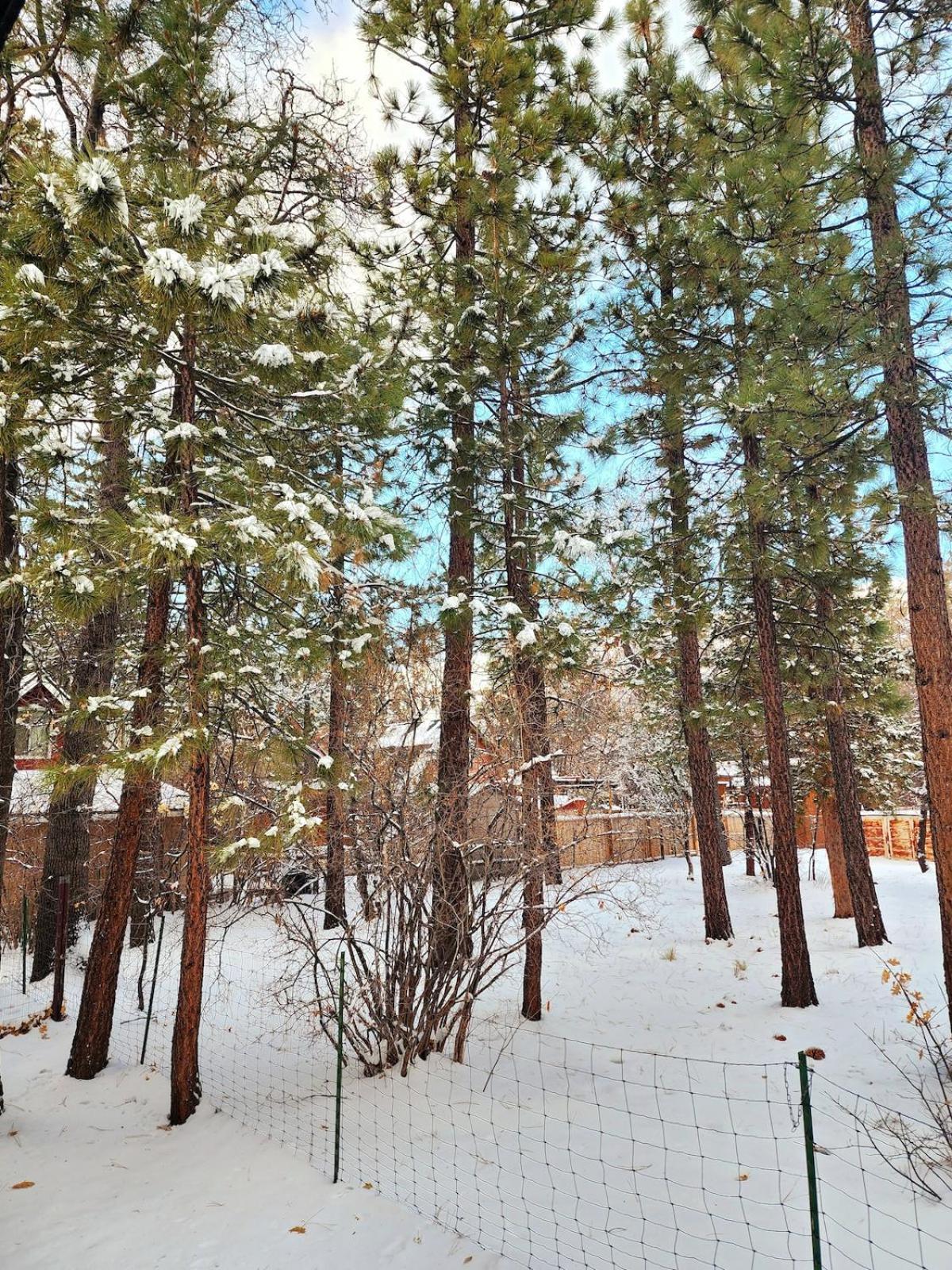 Bear Escapes II Affordable Luxury Cabin Sugarloaf Eksteriør bilde